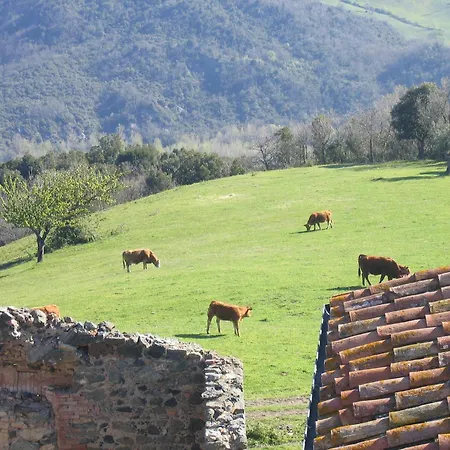 In The Village With Air Conditioning, Cleaning Included *